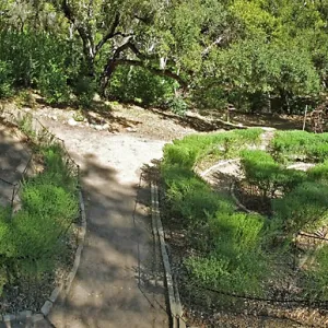Centennial Maze Panorama