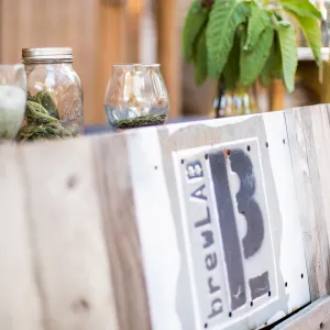 2016 Santa Barbara Beer Garden Event, brewLAB