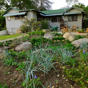 Home Demonstration Garden Renovation