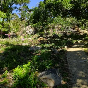 Wooded Dell