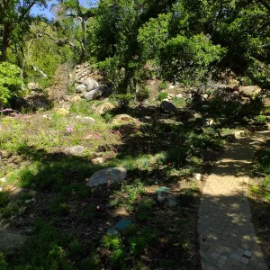 Wooded Dell