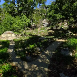 Wooded Dell
