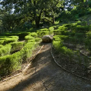 Centennial Maze