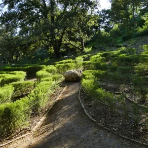 Centennial Maze