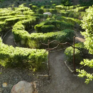 Centennial Maze