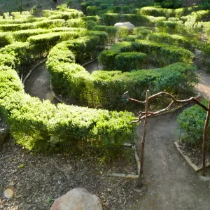 Centennial Maze