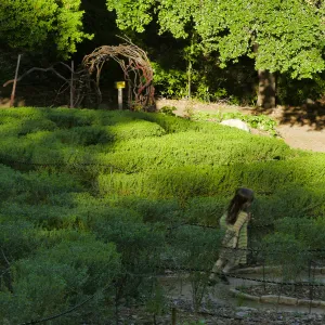 Centennial Maze