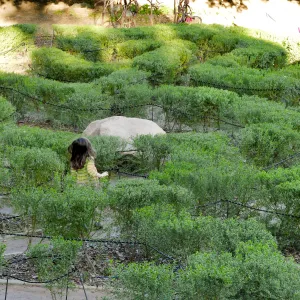 Centennial Maze