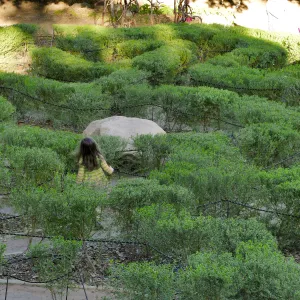 Centennial Maze
