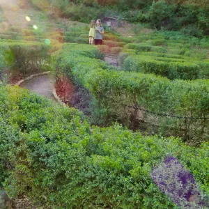 Centennial Maze