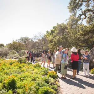 2016 Santa Barbara Beer Garden Event