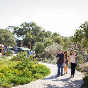 2016 Santa Barbara Beer Garden Event