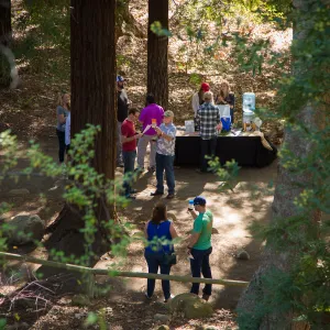2016 Santa Barbara Beer Garden Event