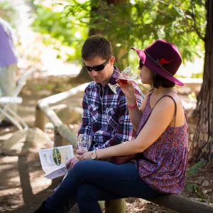 2016 Santa Barbara Beer Garden Event