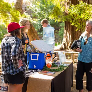 2016 Santa Barbara Beer Garden Event, M.Special Brewery