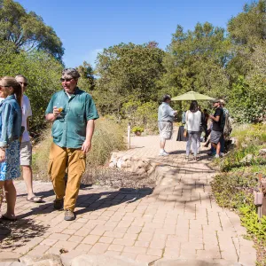 2016 Santa Barbara Beer Garden Event