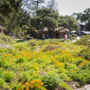 2016 Santa Barbara Beer Garden Event