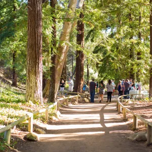 2016 Santa Barbara Beer Garden Event