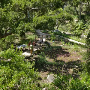 Garden Club of Santa Barbara Centennial Birthday Meeting, Club members visiting the Wooded Dell