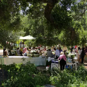 Garden Club of Santa Barbara Centennial Birthday Meeting