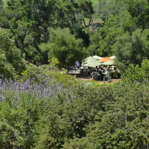 Garden Club of Santa Barbara Centennial Birthday Meeting