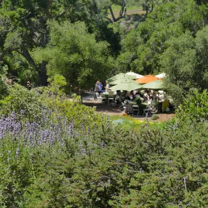 Garden Club of Santa Barbara Centennial Birthday Meeting