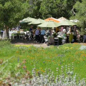 Garden Club of Santa Barbara Centennial Birthday Meeting