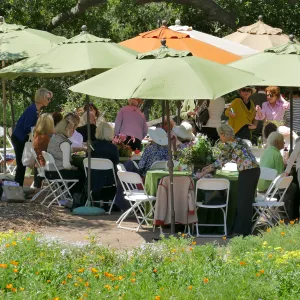 Garden Club of Santa Barbara Centennial Birthday Meeting