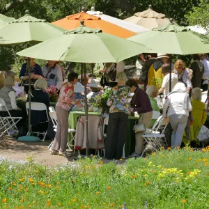 Garden Club of Santa Barbara Centennial Birthday Meeting