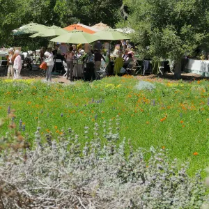 Garden Club of Santa Barbara Centennial Birthday Meeting