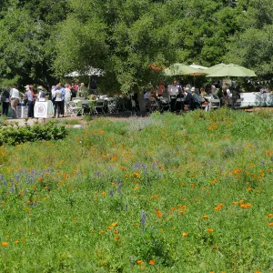 Garden Club of Santa Barbara Centennial Birthday Meeting