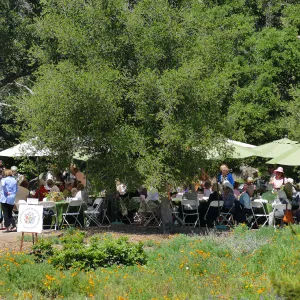 Garden Club of Santa Barbara Centennial Birthday Meeting