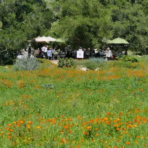 Garden Club of Santa Barbara Centennial Birthday Meeting