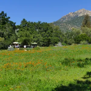 Garden Club of Santa Barbara Centennial Birthday Meeting