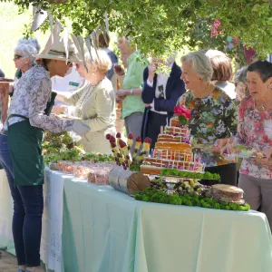 Garden Club of Santa Barbara Centennial Birthday Meeting