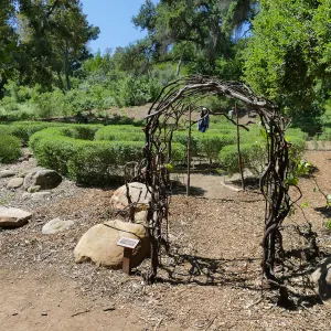 Visitor in Centennial Maze