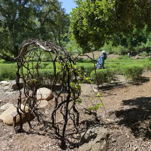 Visitor in Centennial Maze