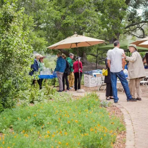 Members Picnic 2016, Day 2