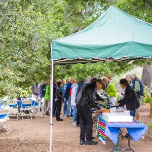 Members Picnic 2016, Day 2