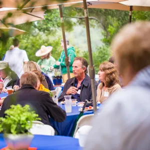 Members Picnic 2016, Day 2