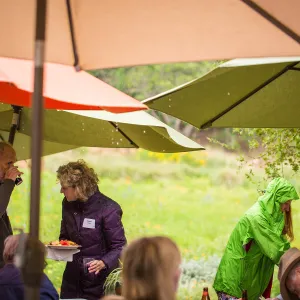 Members Picnic 2016, Day 2