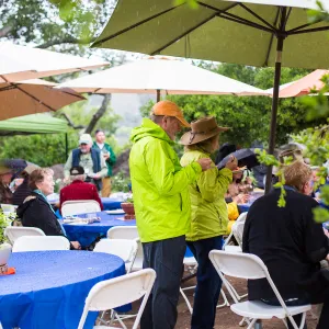 Members Picnic 2016, Day 2
