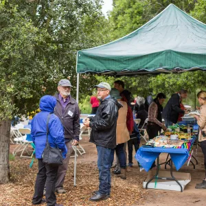 Members Picnic 2016, Day 2
