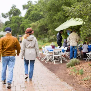 Members Picnic 2016, Day 2