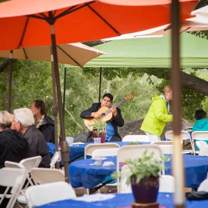 Members Picnic 2016, Day 2