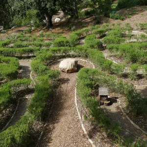 Centennial Maze