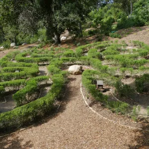 Centennial Maze