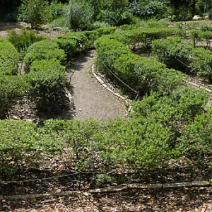 Centennial Maze panoramic view