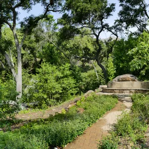 Wooded Dell panorama with Campbell Bridge and Campbell Bench
