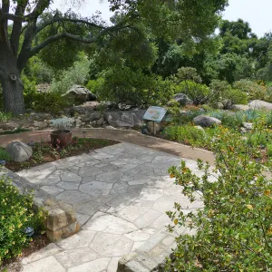 Home Demonstration Garden Renovation, view 20, looking southeast from south entrance of Cottage